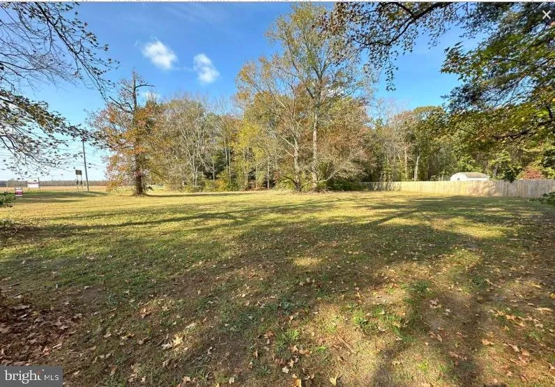 Additional image 11 of Mount Joy Road, Millsboro, DE 19966