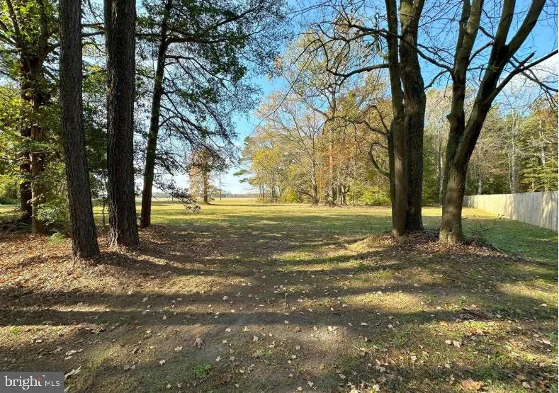 Additional image 12 of Mount Joy Road, Millsboro, DE 19966