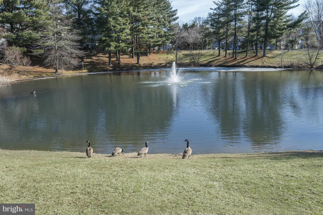 CROFTON MEWS CONDO - Residential