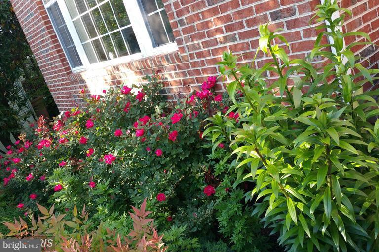 CROSSPOINTE - Residential