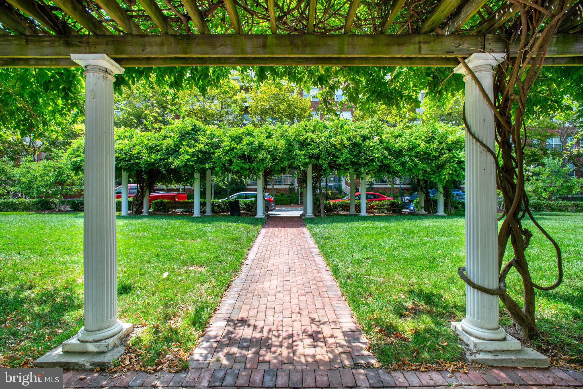 CARLTON PLACE - Residential