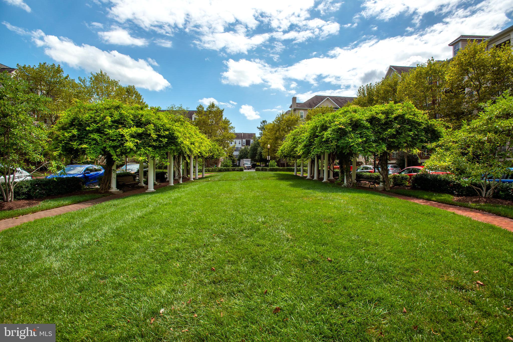 CARLTON PLACE - Residential