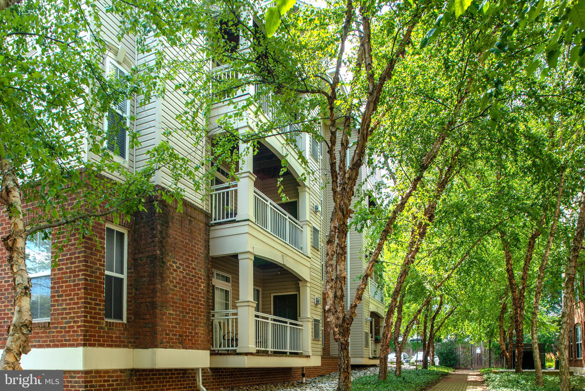 CARLTON PLACE - Residential