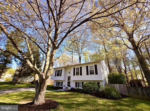 12617 GLENBROOKE WOODS DRIVE HERNDON VA 20171