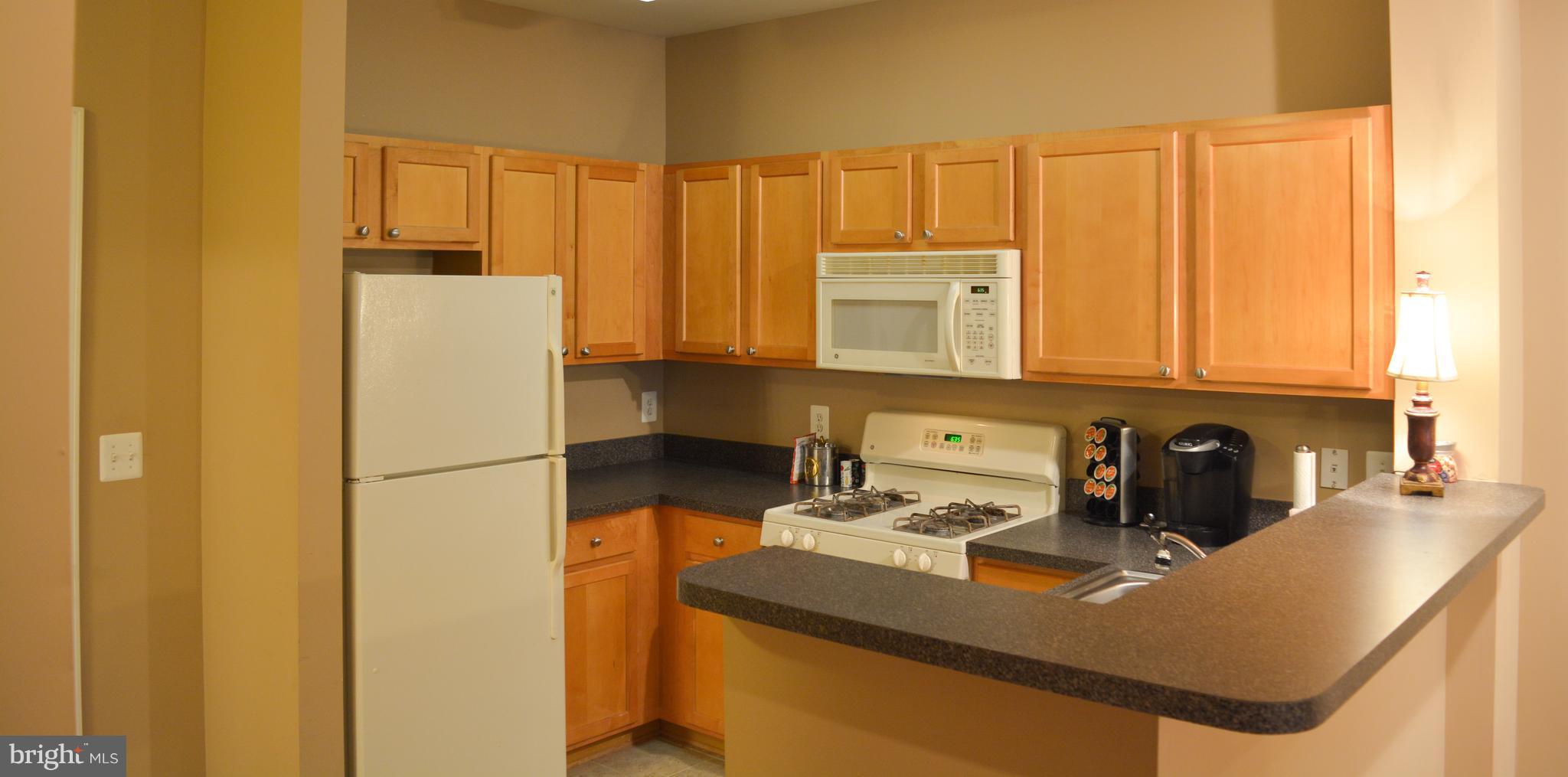 SAVOY AT RESTON TOWN CENTER - Residential Lease