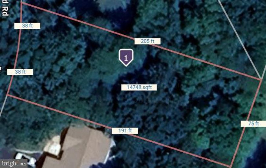 Welcome to the amenity-rich Lake of the Woods! 
This lot is truly a gem, situated just below street level with a love creek at the back.
Come and create your dream home on this beautiful, verdant lot. Tucked away among tall trees and peaceful scenery, this lot is just waiting for your creative touch, Picture yourself waking up to the soft sounds of the birds singing,   with the lake just a short walk away. Whether you’re thinking about a cozy cottage or a spacious home, here’s your chance to build a place that matches your style and needs.
Jump into the lively vibe of the Lake of the Woods Community, where every day feels like a getaway. Hang out with neighbors for a round of golf, take a dip in the pool, or wander the scenic walking trails that wind through the lush area. With tons of clubs and activities, there’s always something to do and new people to meet.
Don’t just dream about living in this perfect spot—make it happen. Call me today to find out more about this available lot and start planning your future in this amazing community.