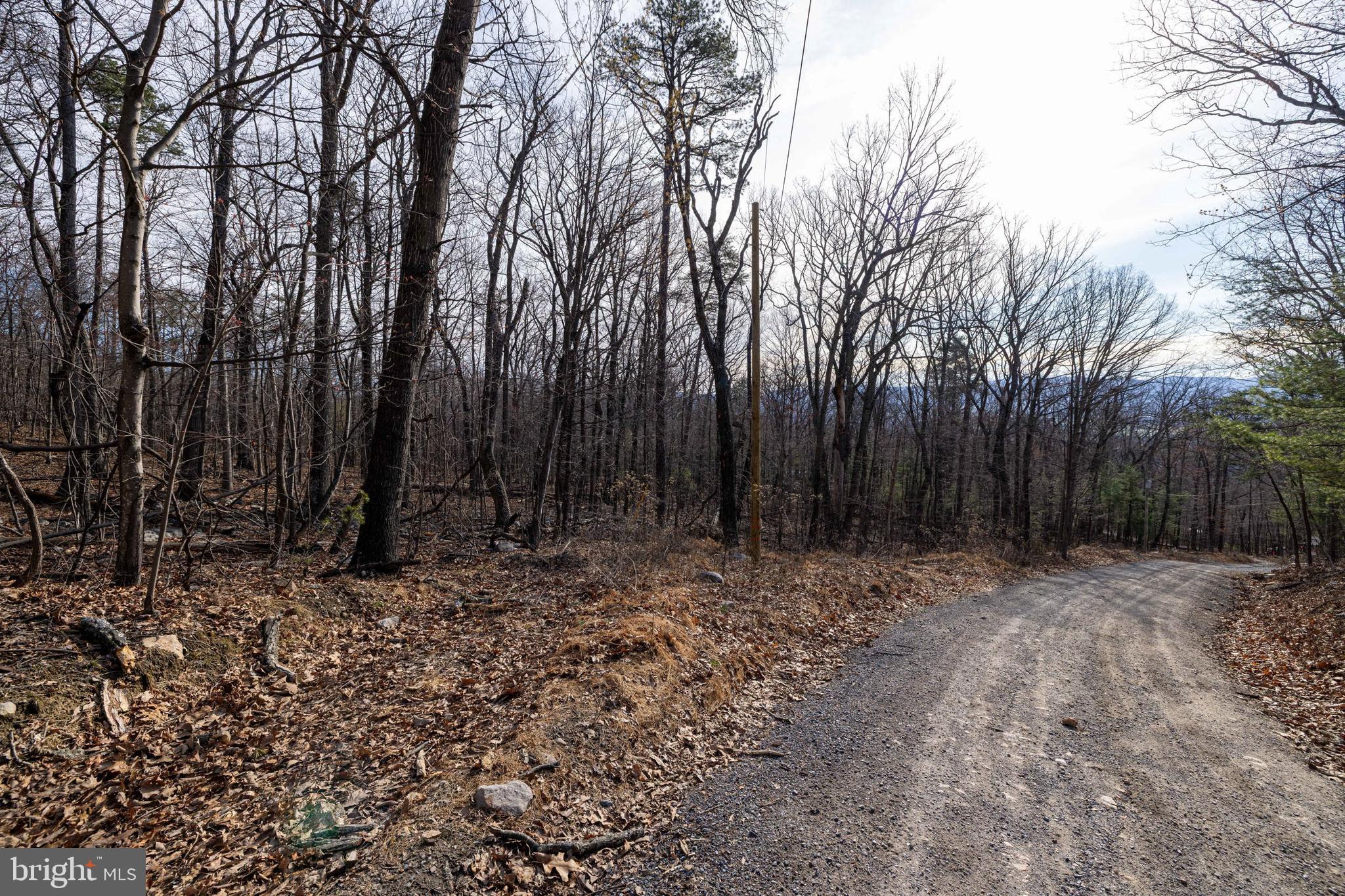 SHENANDOAH FOREST - Land