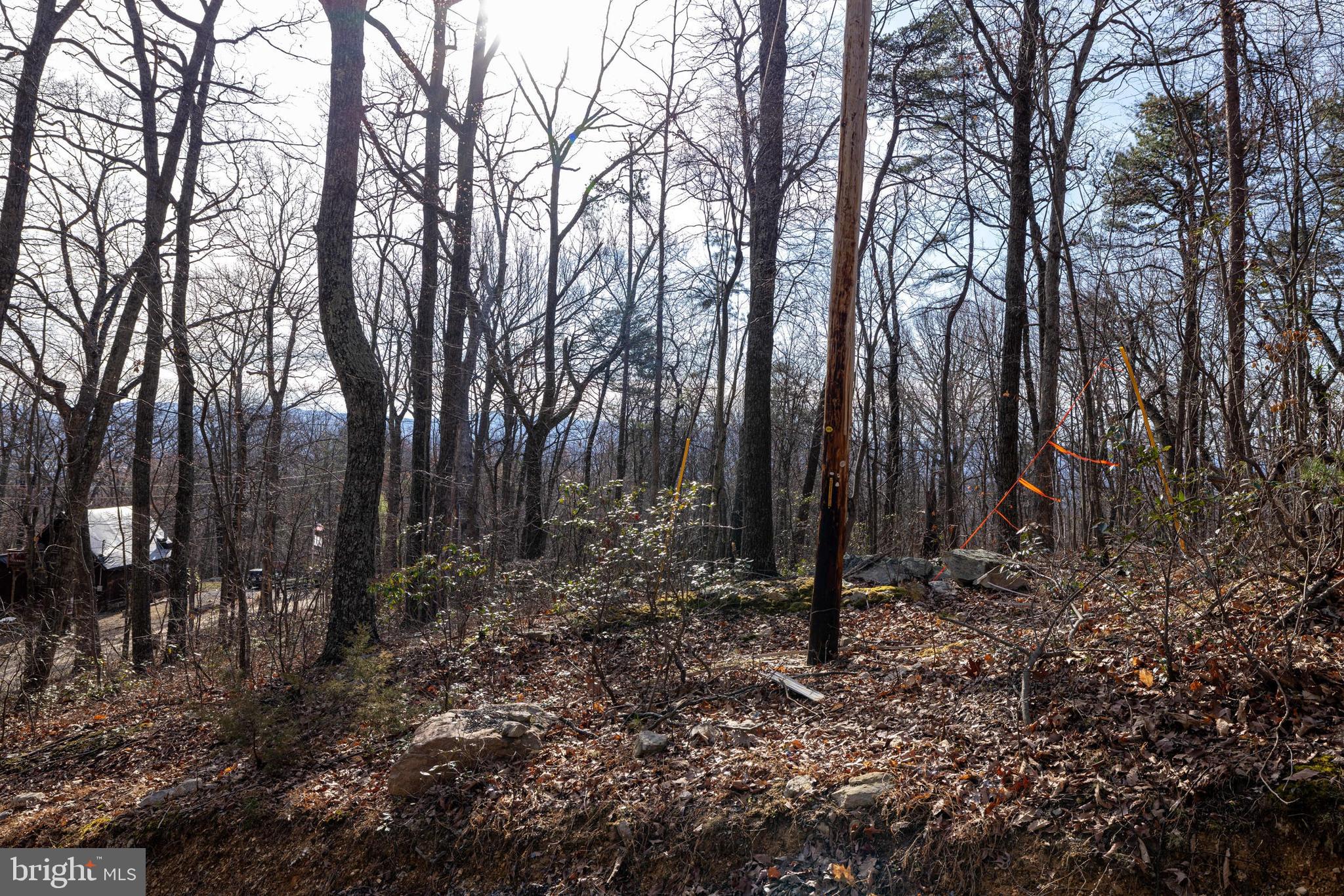 SHENANDOAH FOREST - Land