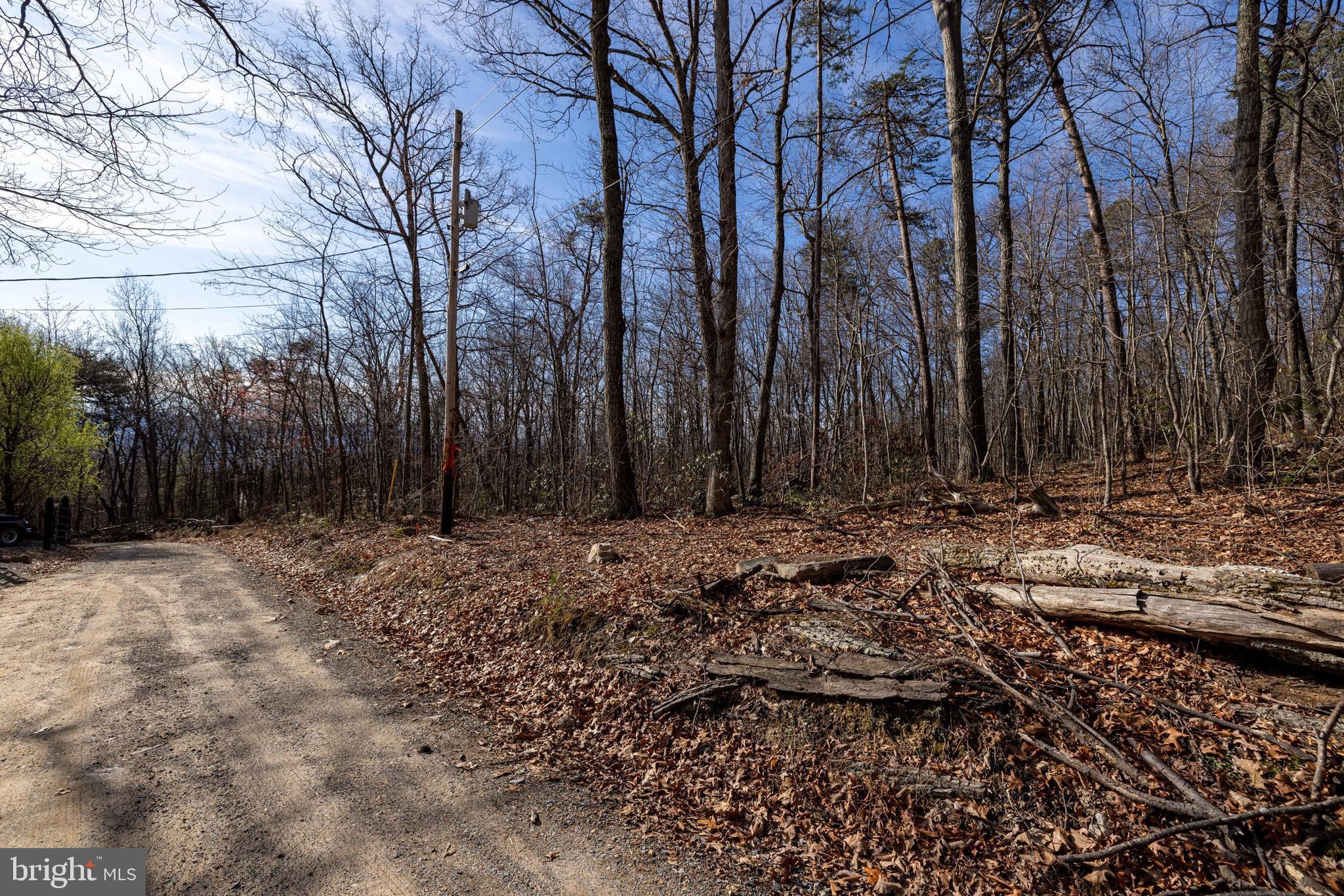 SHENANDOAH FOREST - Land