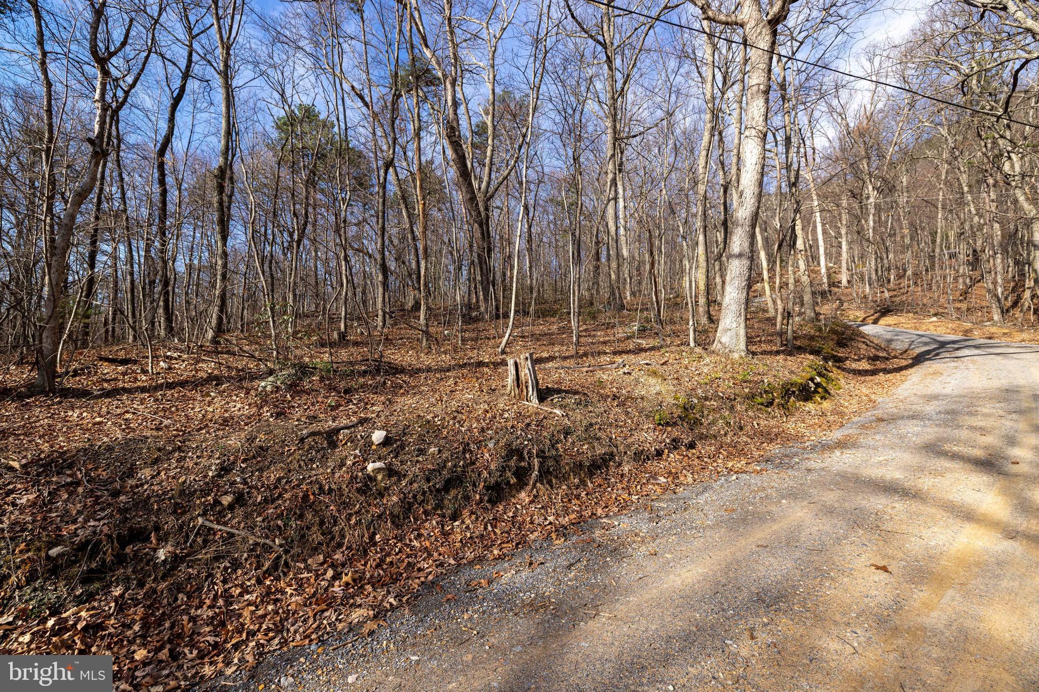 SHENANDOAH FOREST - Land