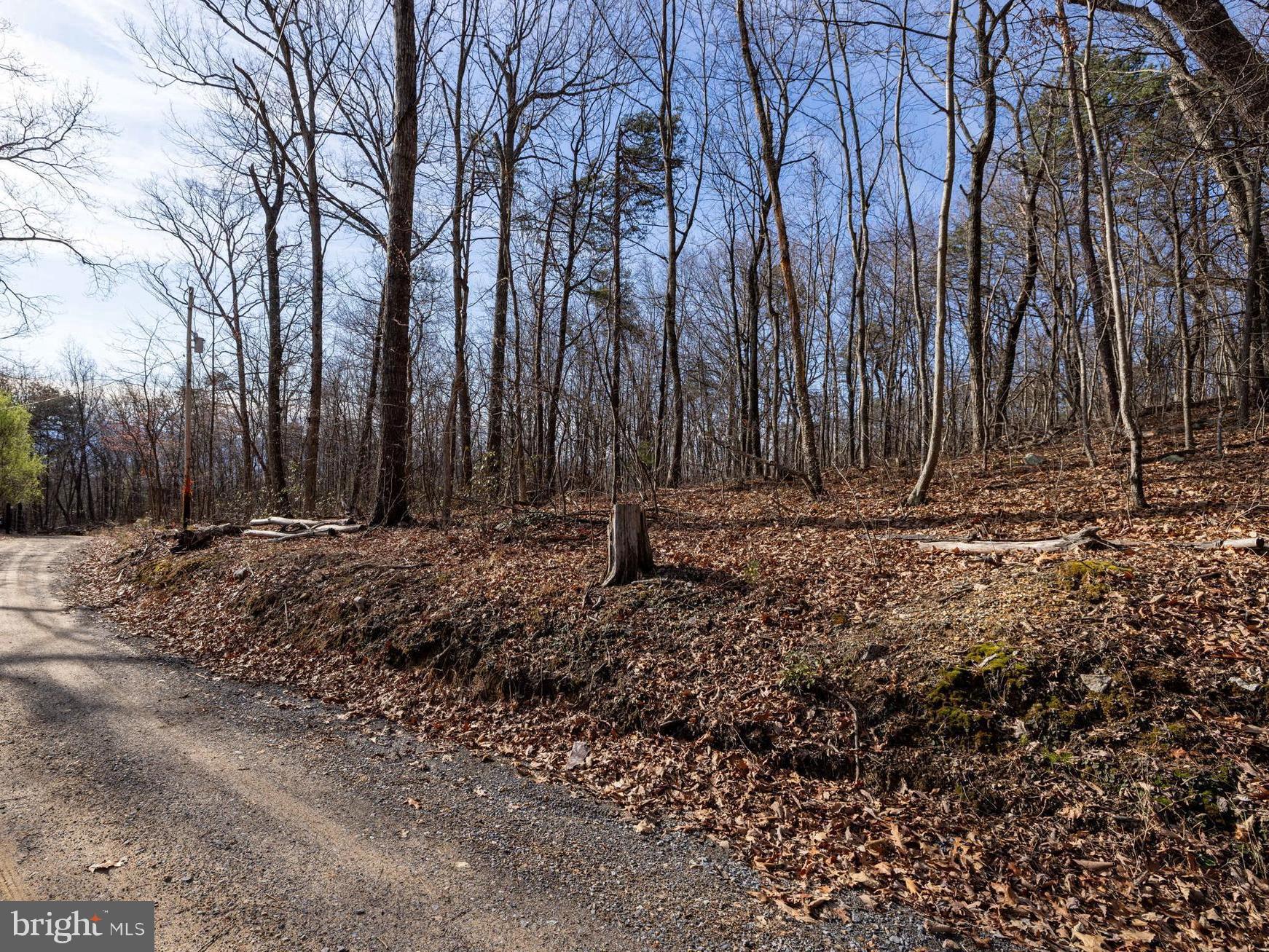 SHENANDOAH FOREST - Land