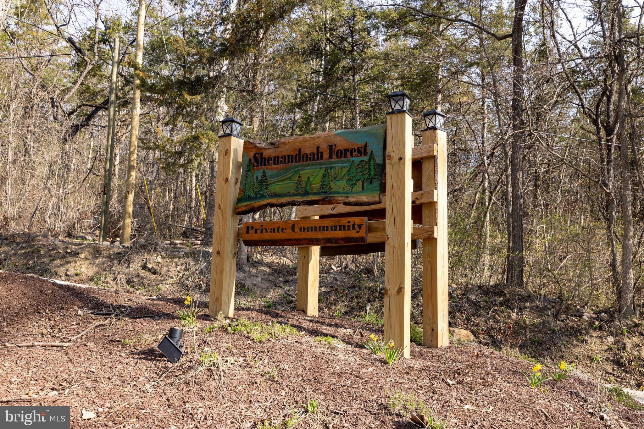 SHENANDOAH FOREST - Land