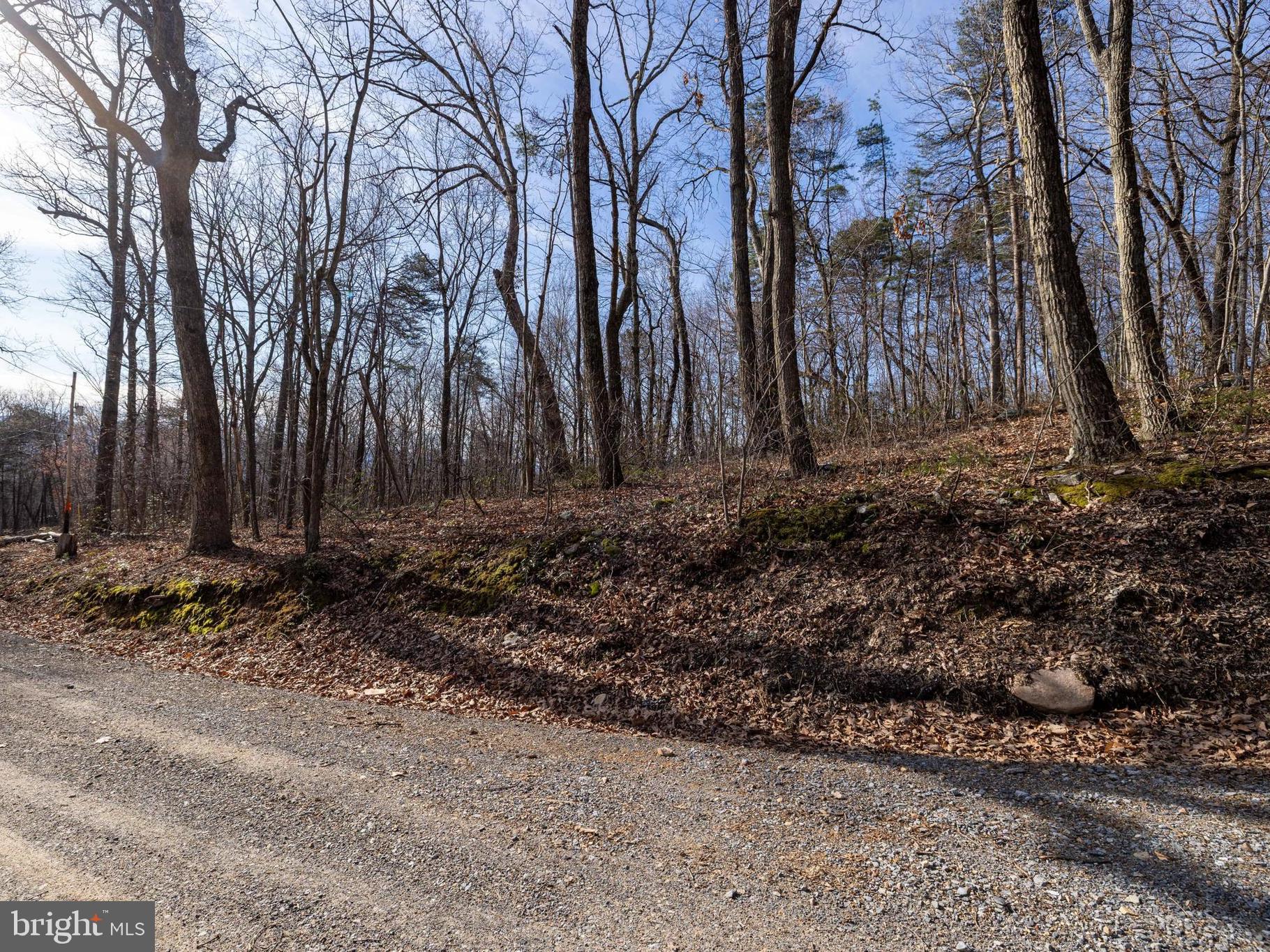 SHENANDOAH FOREST - Land