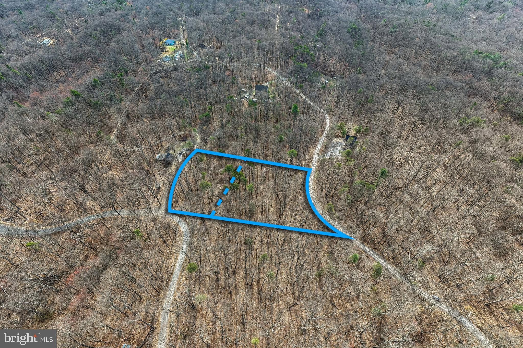 SHENANDOAH FOREST - Land