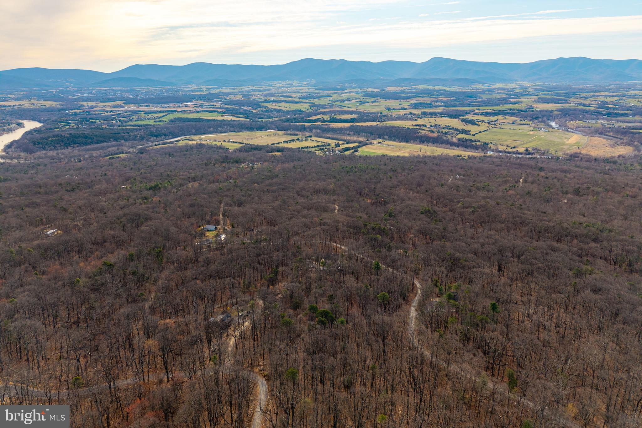 SHENANDOAH FOREST - Land