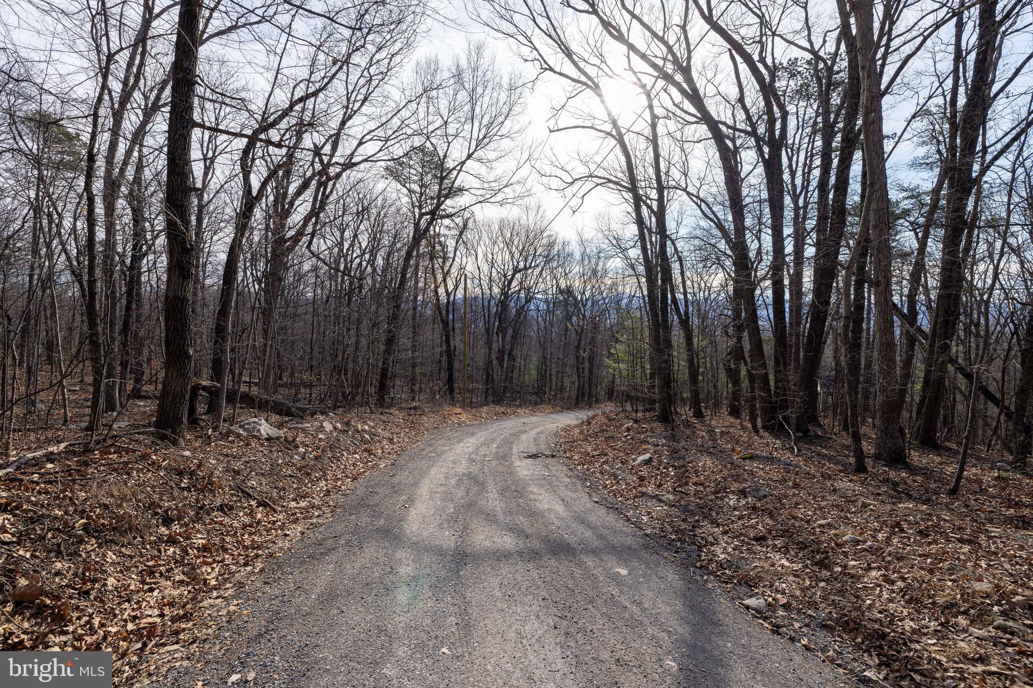 SHENANDOAH FOREST - Land