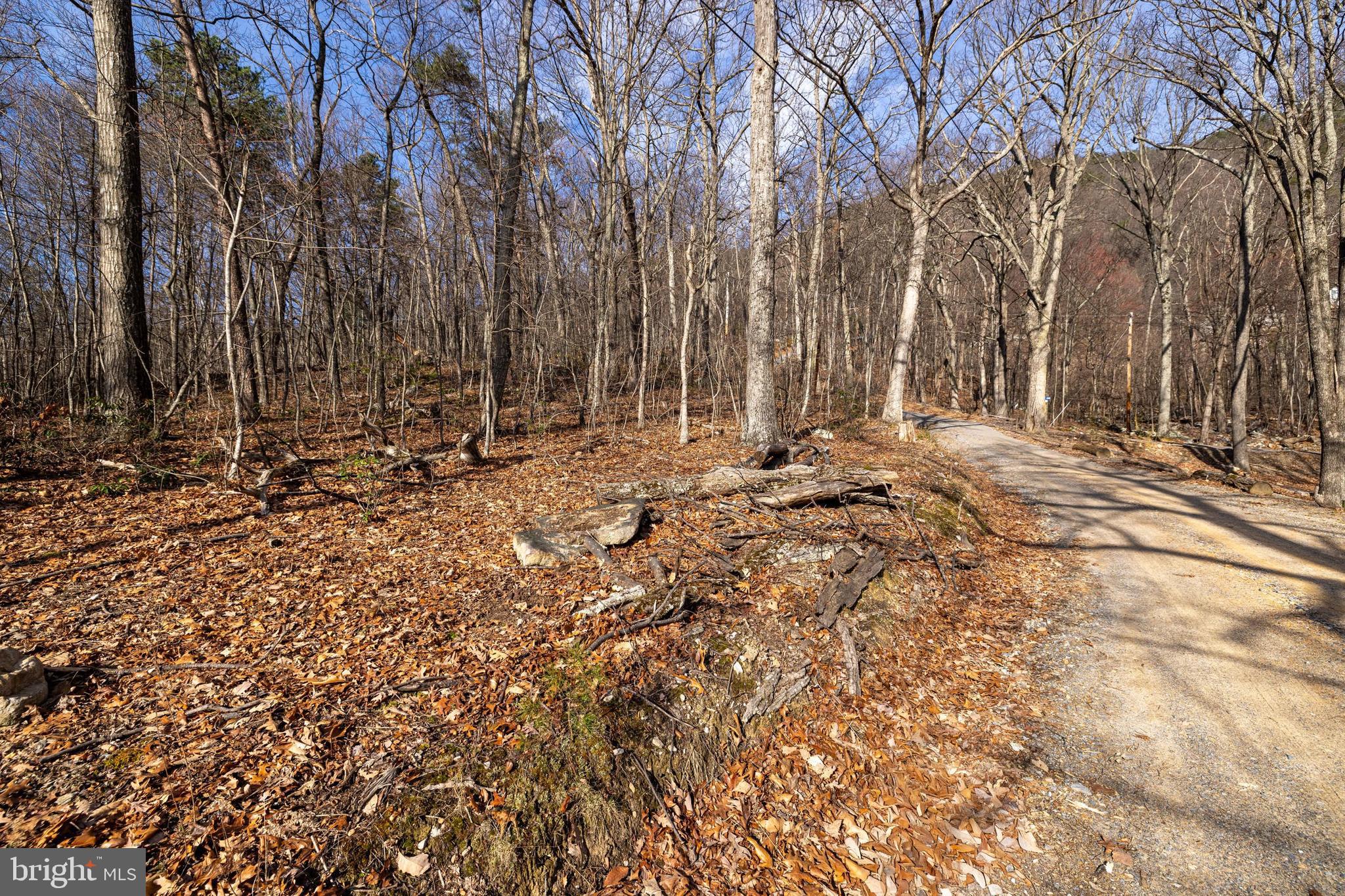 SHENANDOAH FOREST - Land