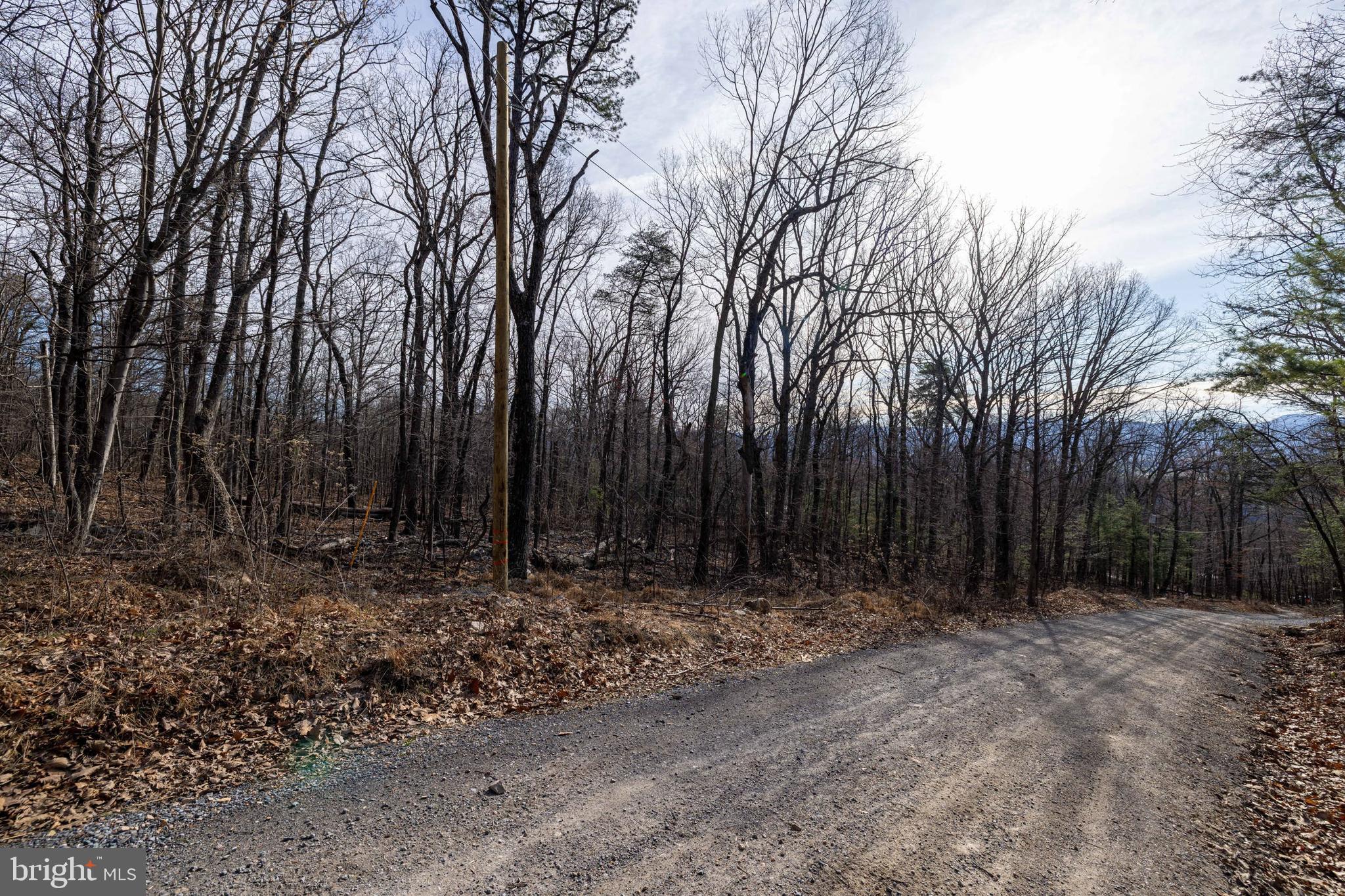 SHENANDOAH FOREST - Land