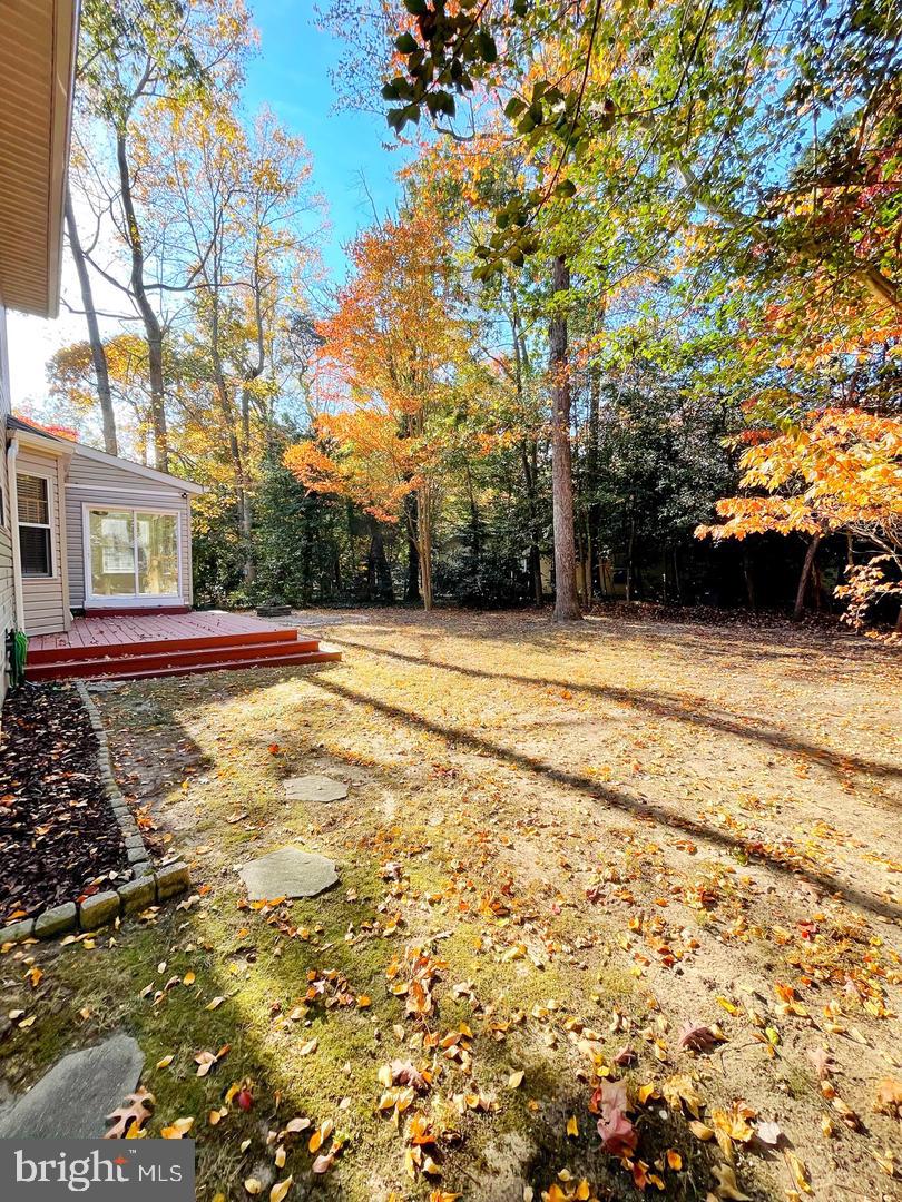 23147 GREY SQUIRREL LANE