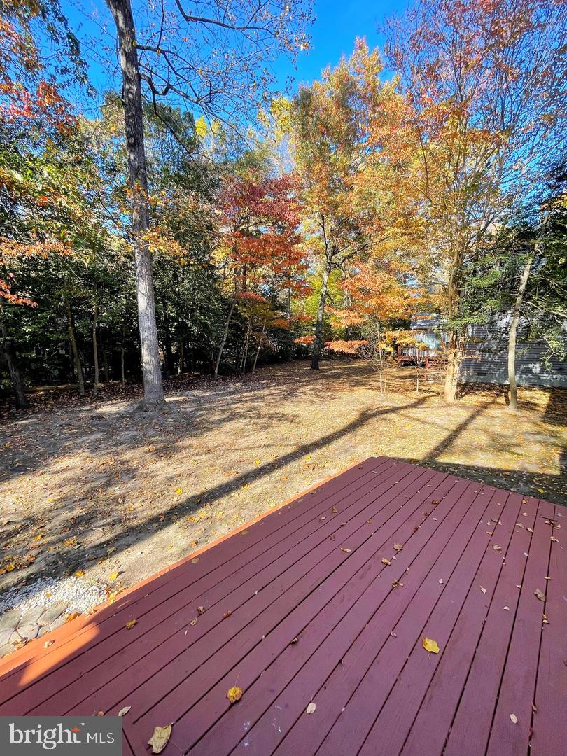 23147 GREY SQUIRREL LANE