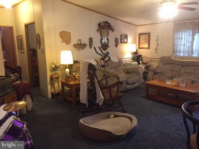 BIG SPRING TERRACE - Residential