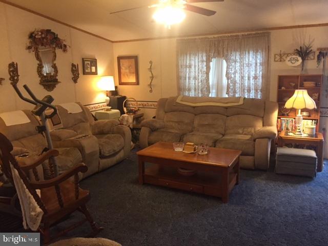 BIG SPRING TERRACE - Residential