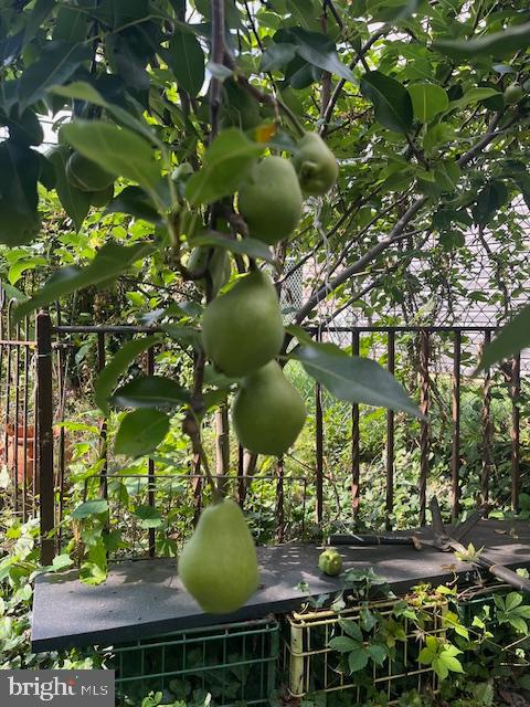 CEDAR PARK - Residential