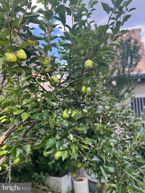 CEDAR PARK - Residential