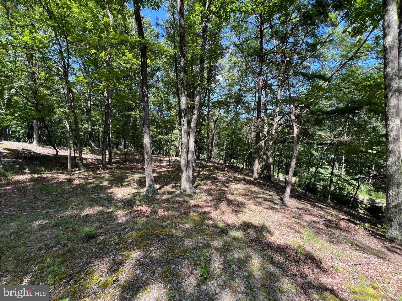 634 ISLAND RIDGE ROAD