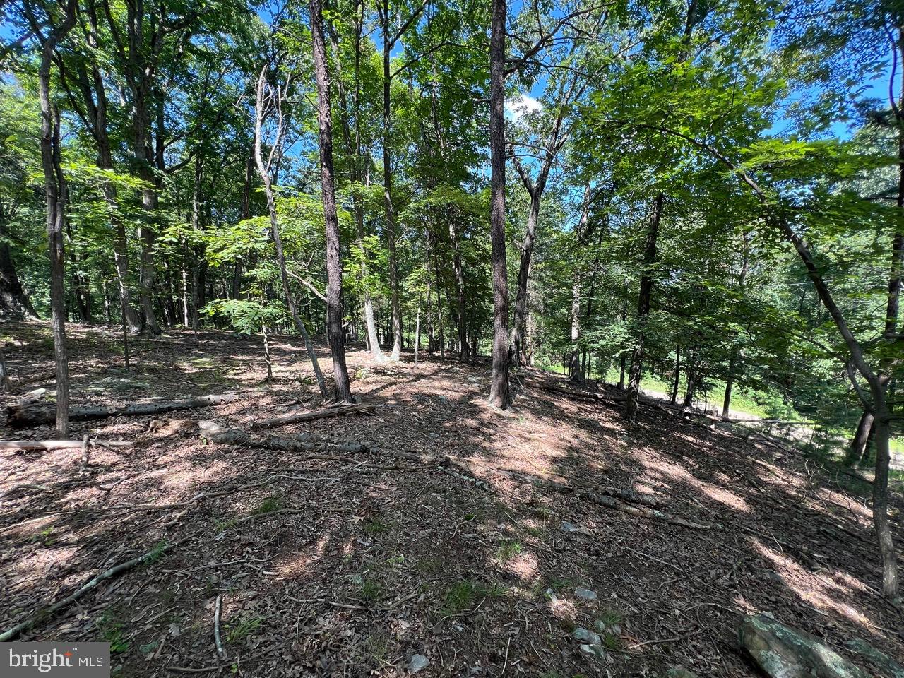 POTOMAC ISLAND RIDGE - Residential