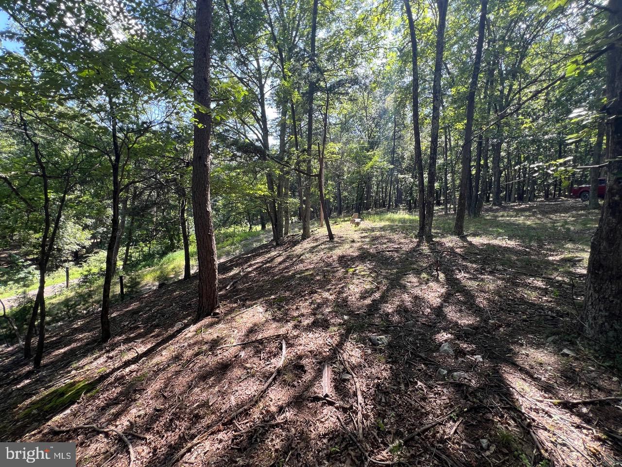 POTOMAC ISLAND RIDGE - Residential