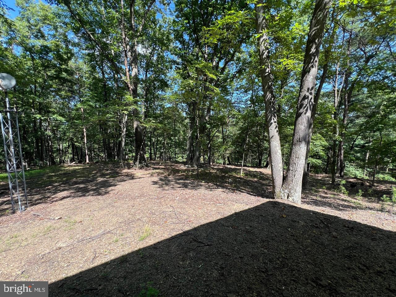 POTOMAC ISLAND RIDGE - Residential