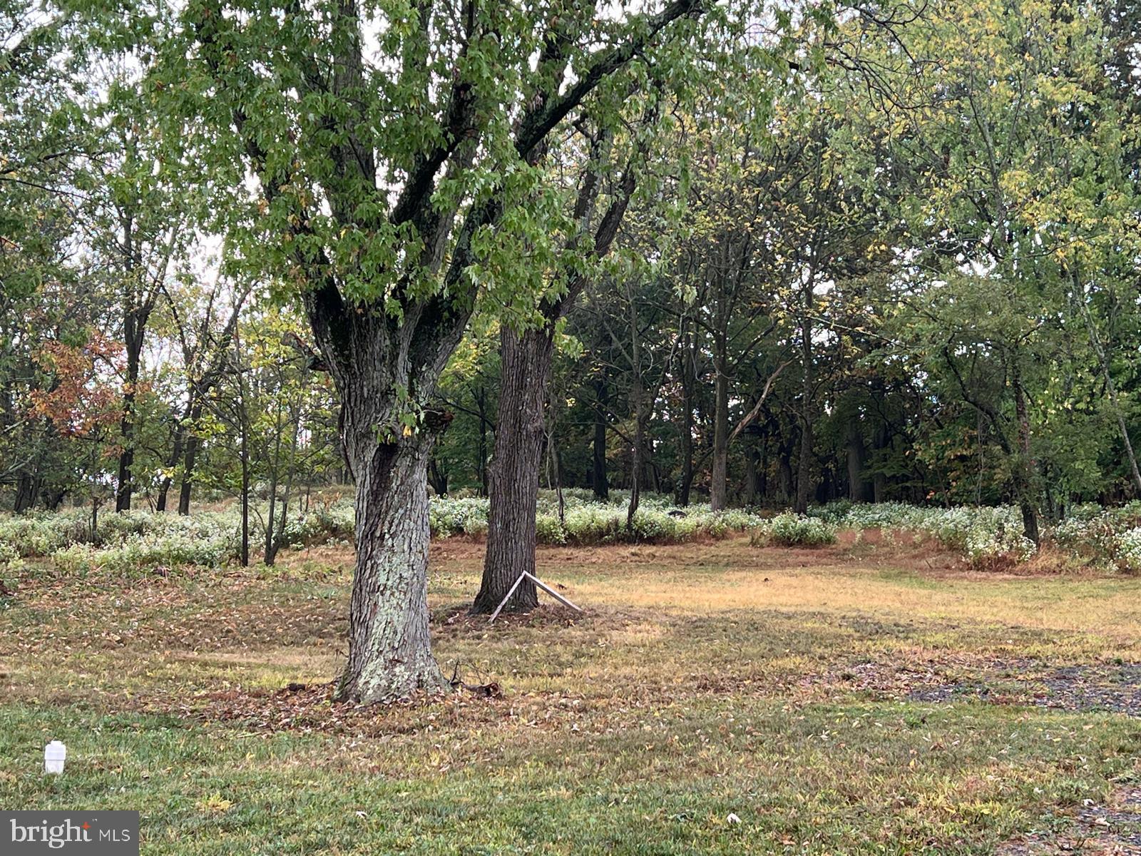 CHURCHVILLE MANOR - Residential