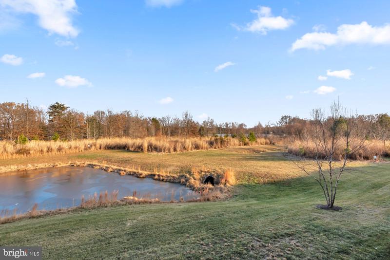 FOUR SEASONS AT KENT ISLAND - Residential