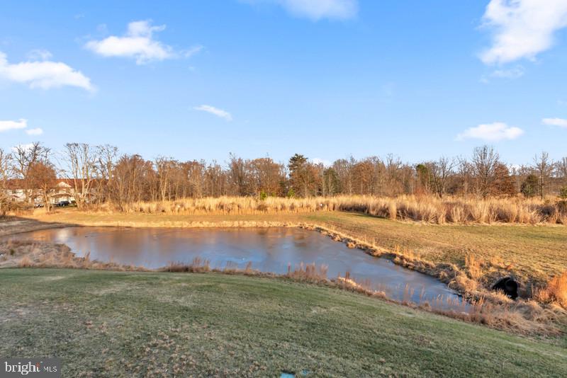 FOUR SEASONS AT KENT ISLAND - Residential