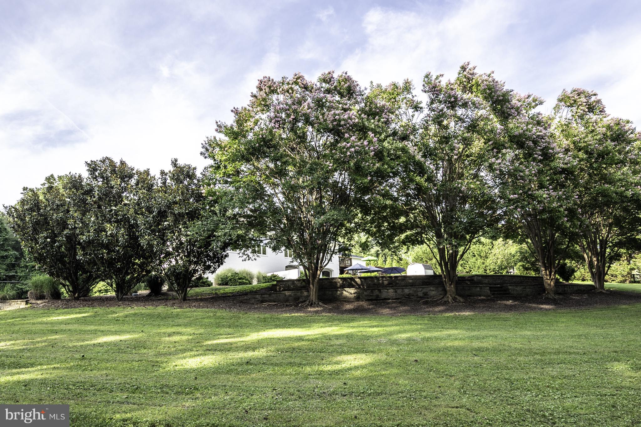 SPRINGDALE ESTATES - Residential