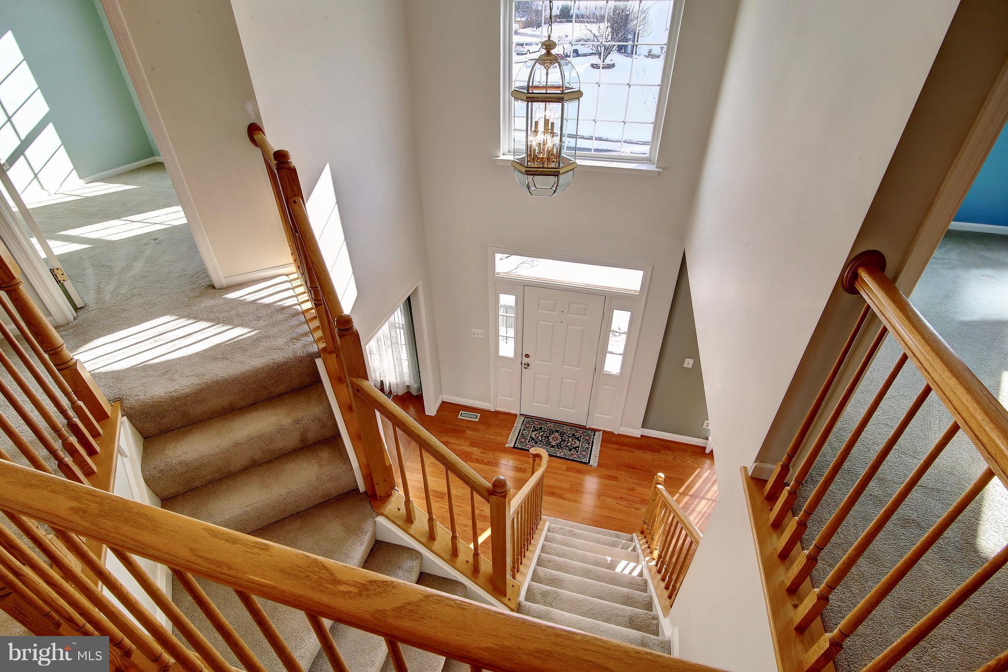 TAVISTOCK FARMS - Residential