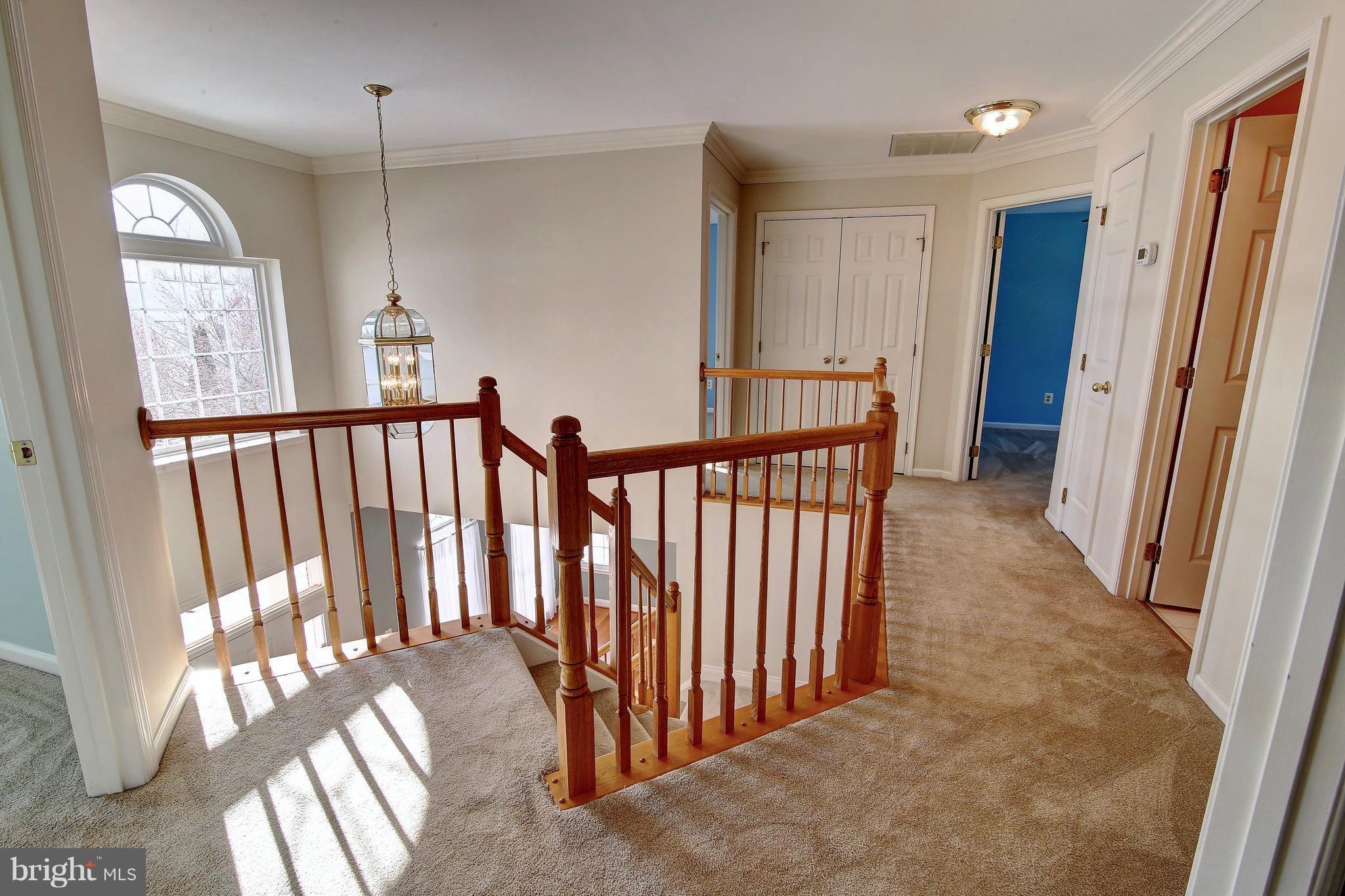 TAVISTOCK FARMS - Residential