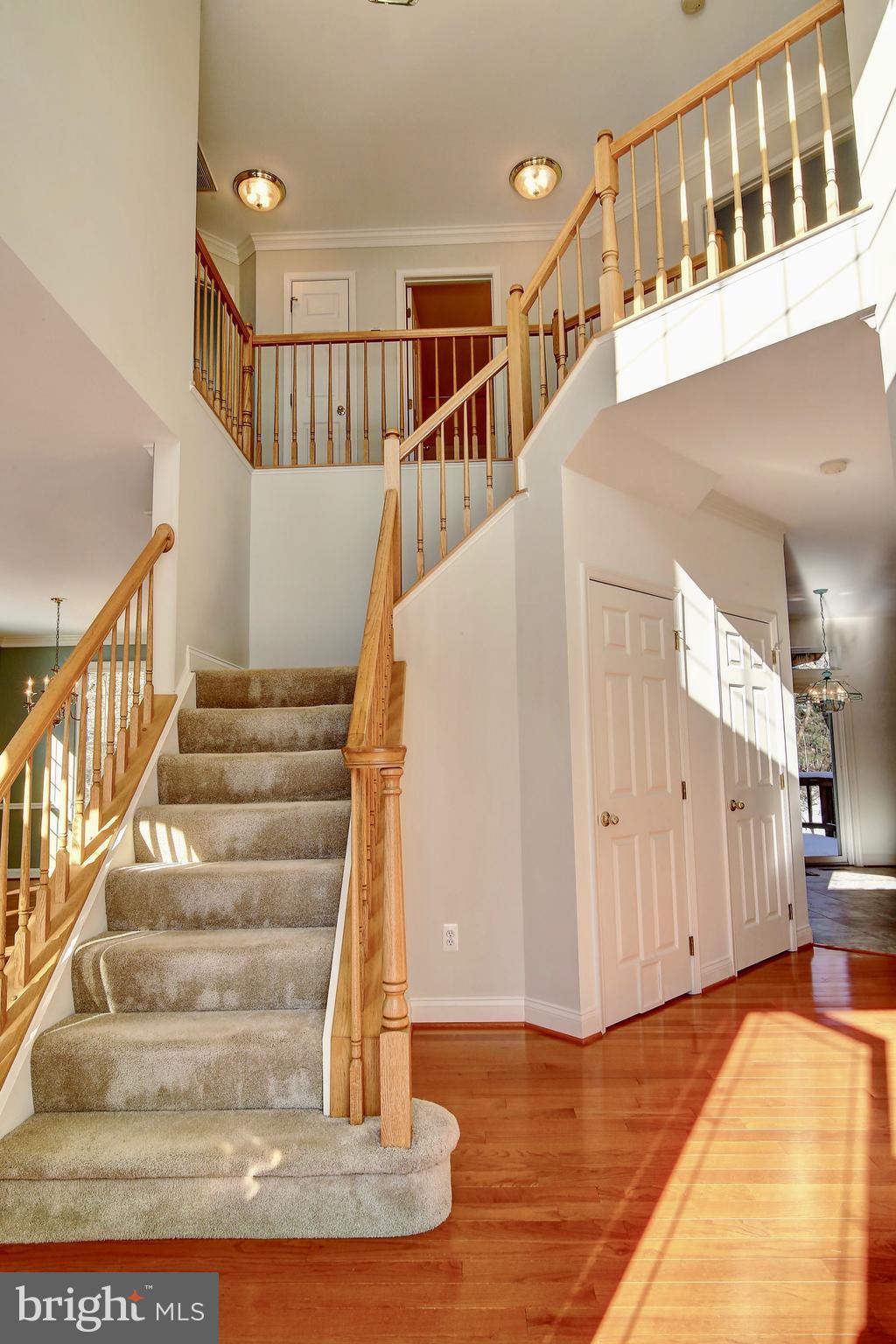 TAVISTOCK FARMS - Residential