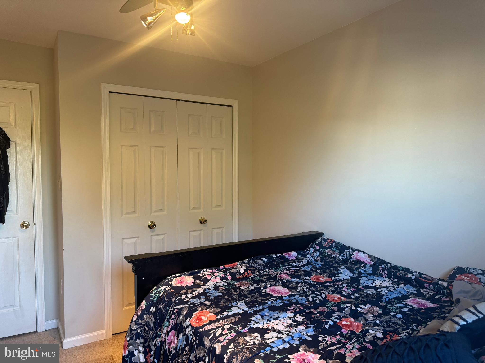 PARADISE - Residential