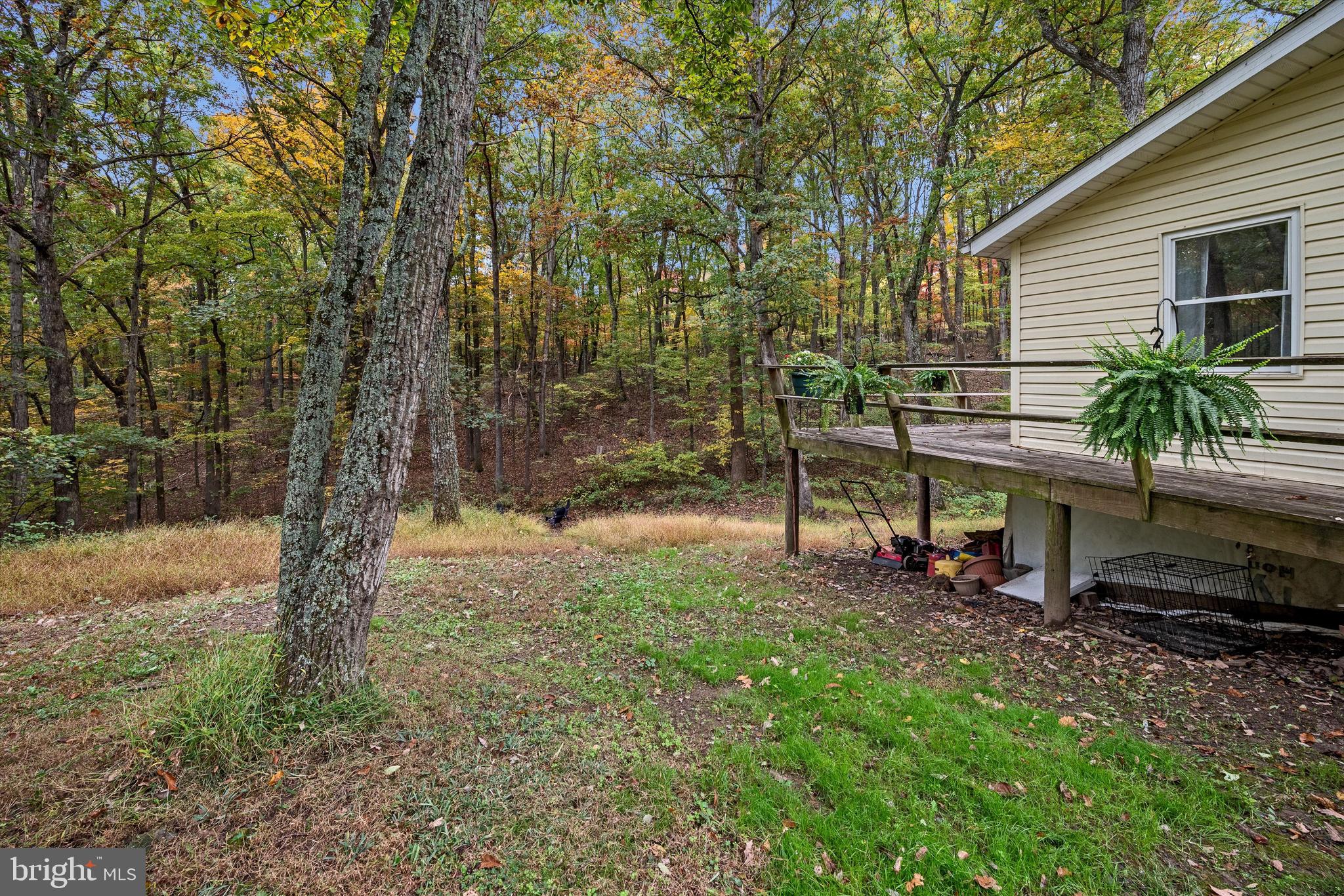 PIN OAK - Residential