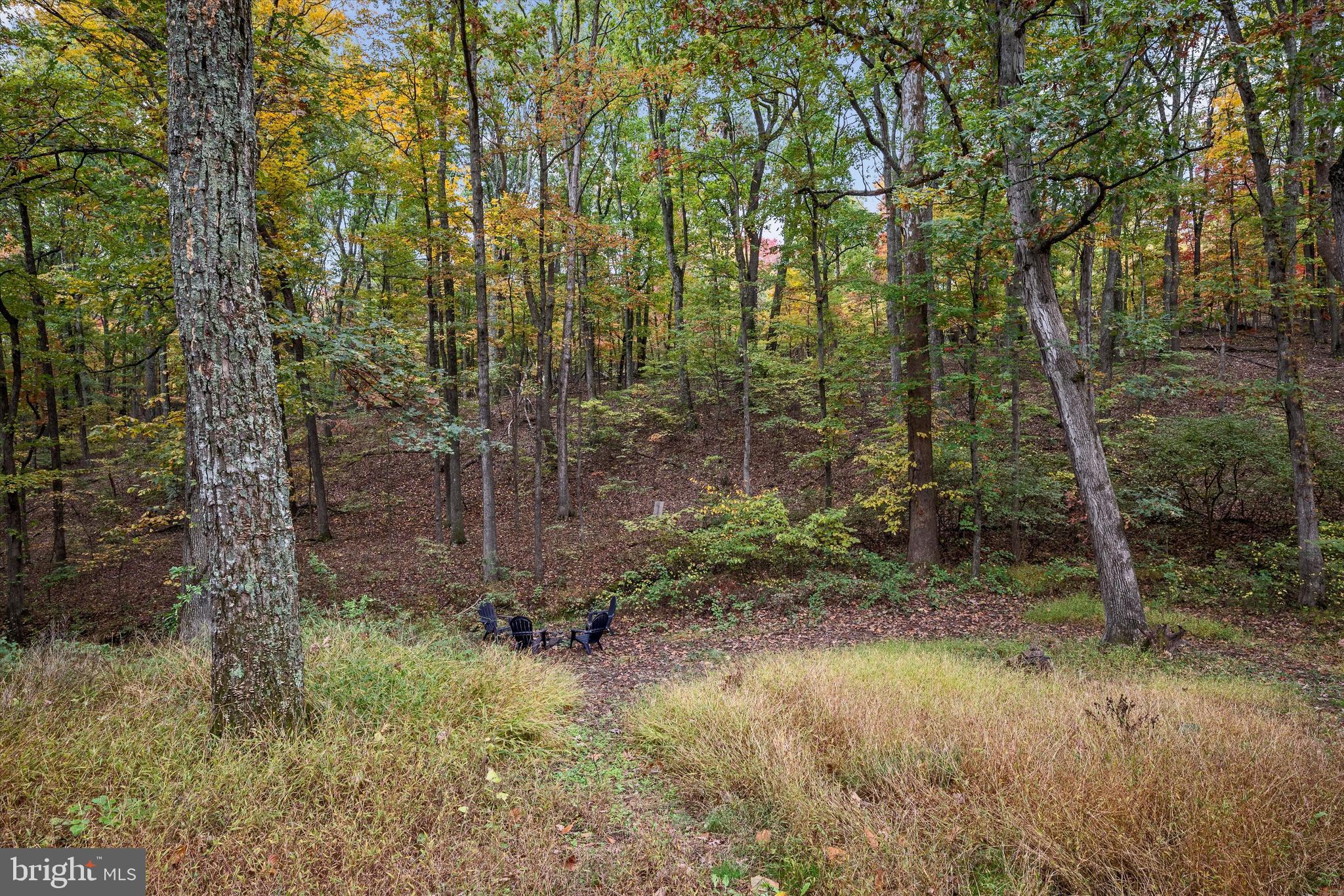 PIN OAK - Residential