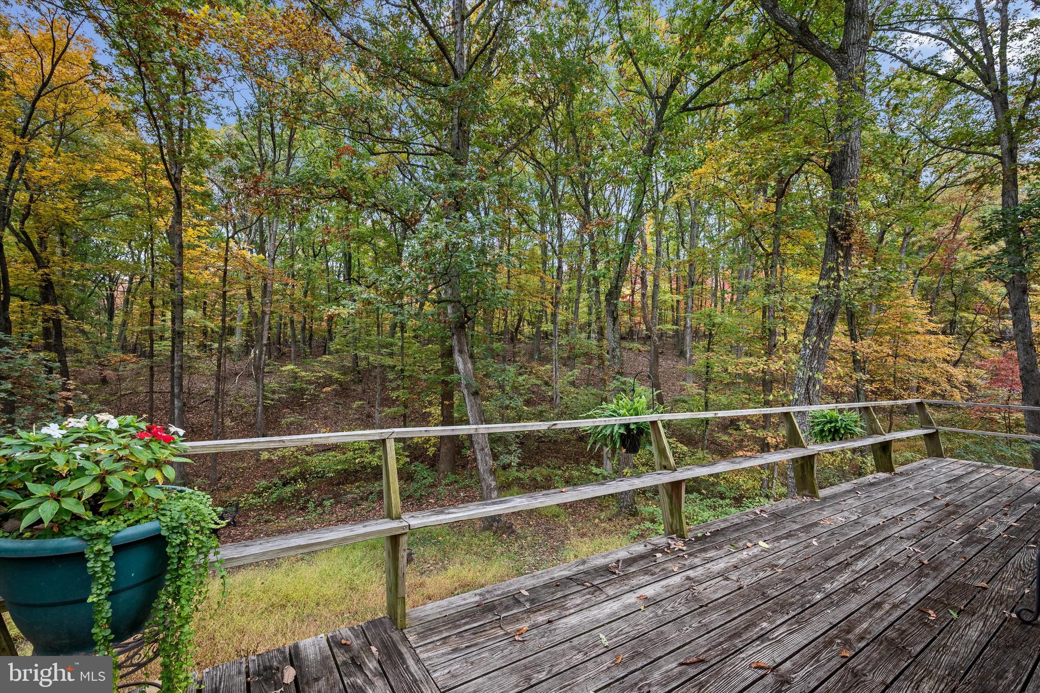 PIN OAK - Residential