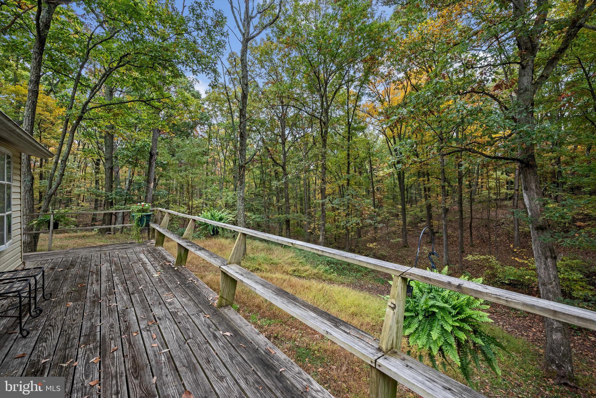 PIN OAK - Residential