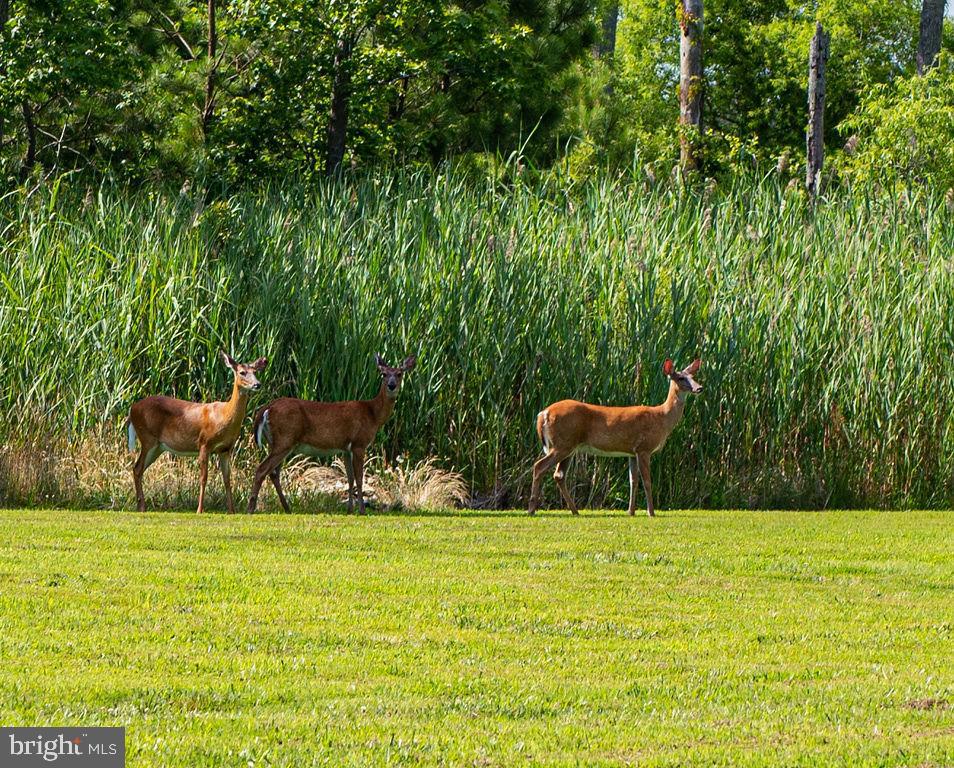 GLENRIDDLE - Residential