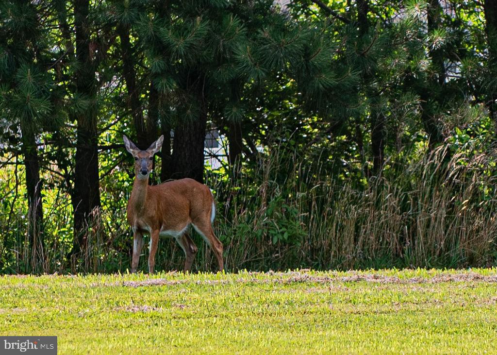 GLENRIDDLE - Residential