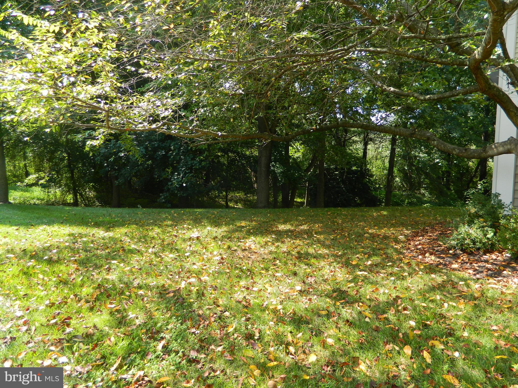 BROOKSTONE - Residential Lease