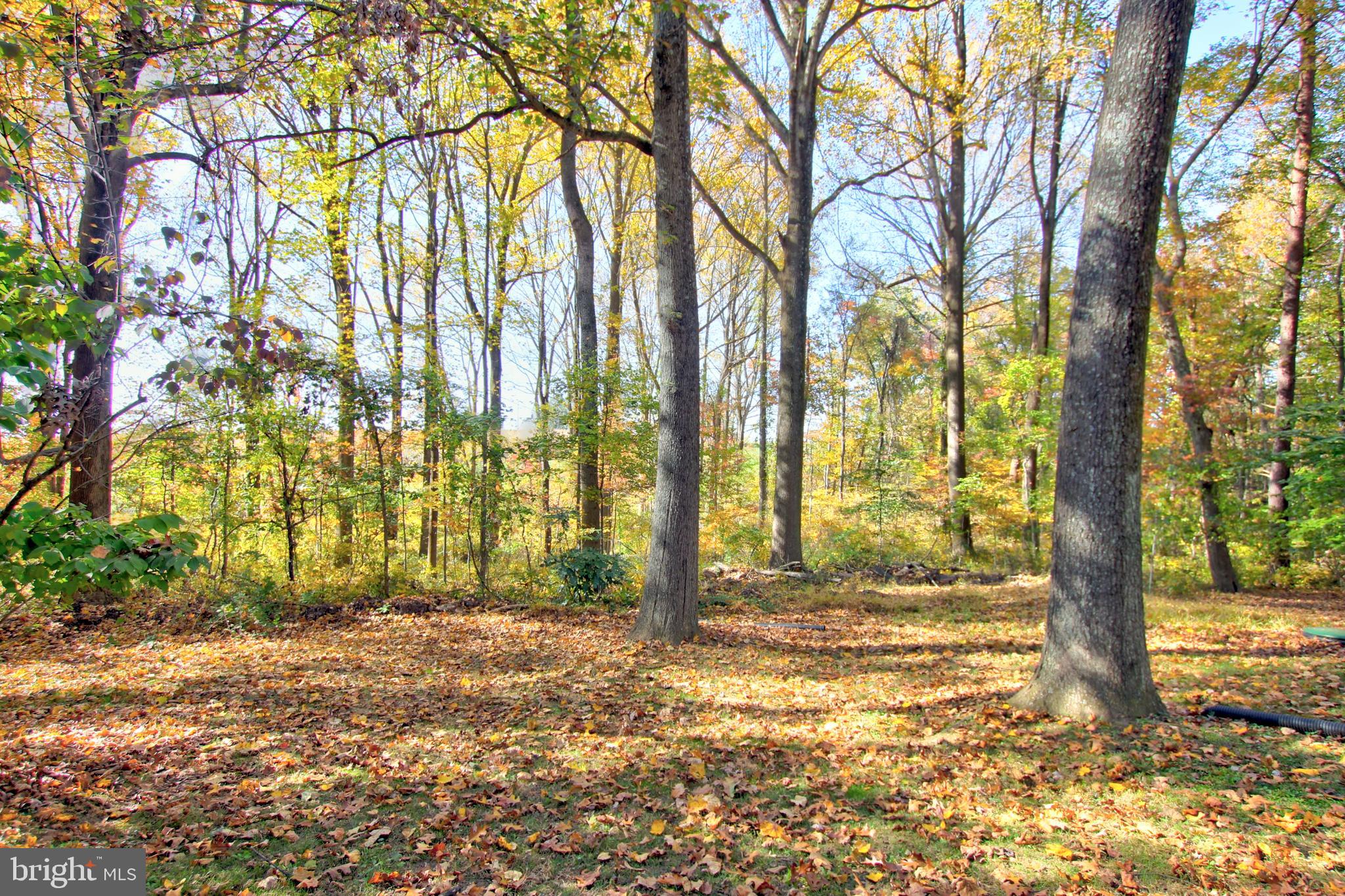 DAYTON MEADOWS - Residential