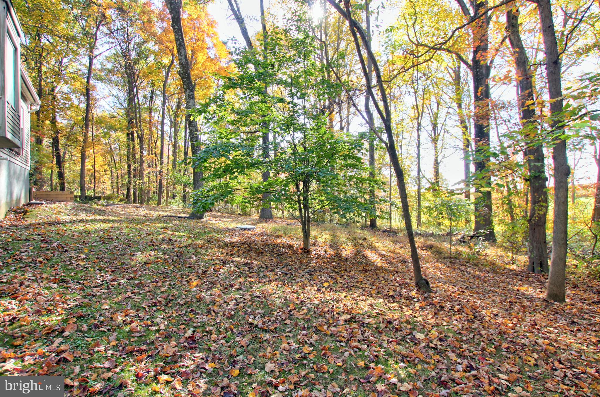 DAYTON MEADOWS - Residential