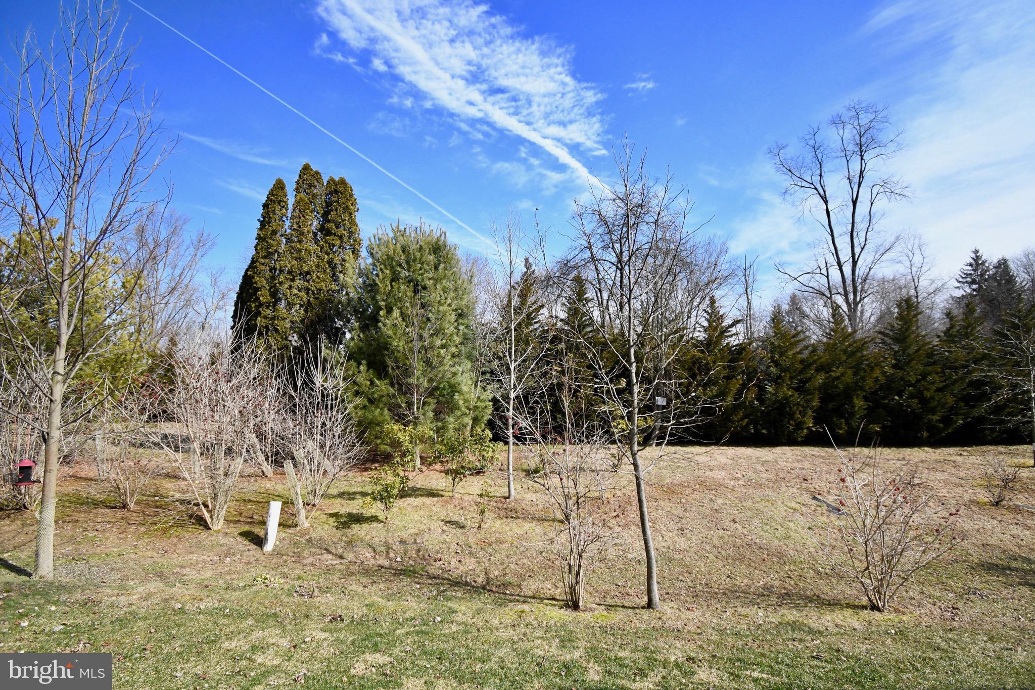 PROSPECT GREEN - Residential